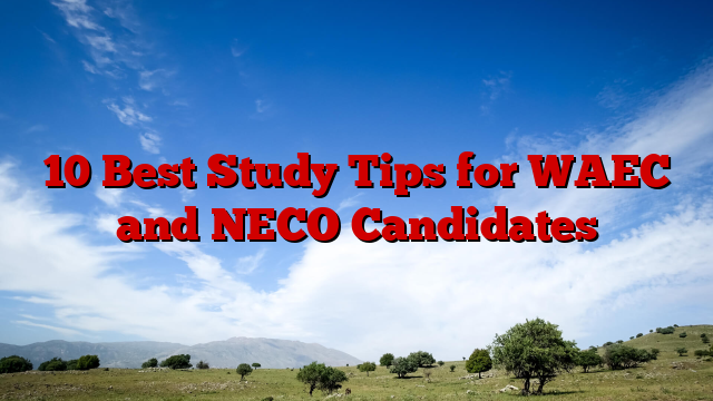 10 Best Study Tips for WAEC and NECO Candidates